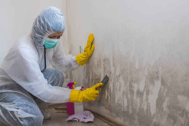Best Mold Remediation for Vacation Homes  in Wadesboro, NC