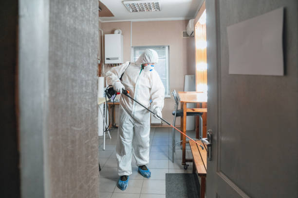 Best Residential Mold Inspection & Testing  in Wadesboro, NC