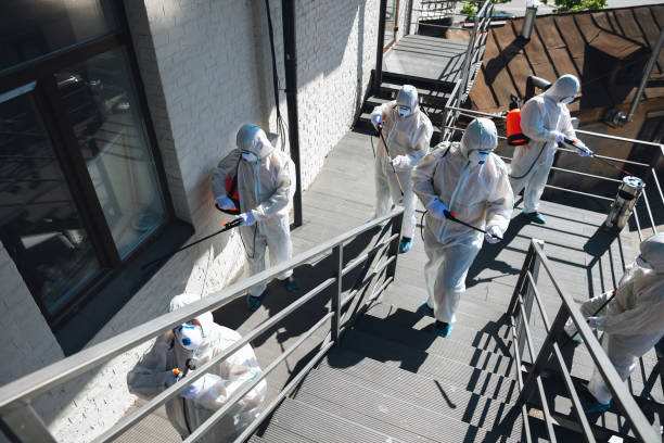 Best Mold Prevention Services  in Wadesboro, NC