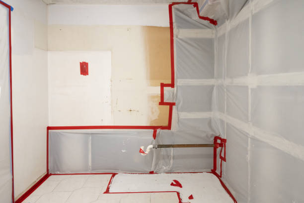 Trusted Wadesboro, NC Mold Removal Experts