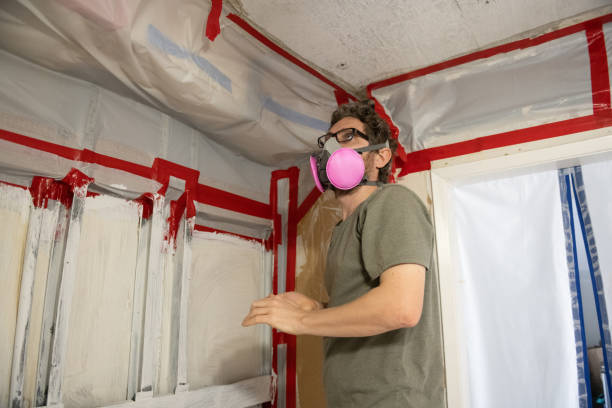 Best Mold Removal for HVAC Installations  in Wadesboro, NC