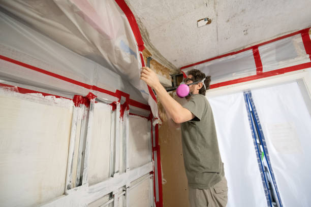 Mold Removal for HVAC Installations in Wadesboro, NC