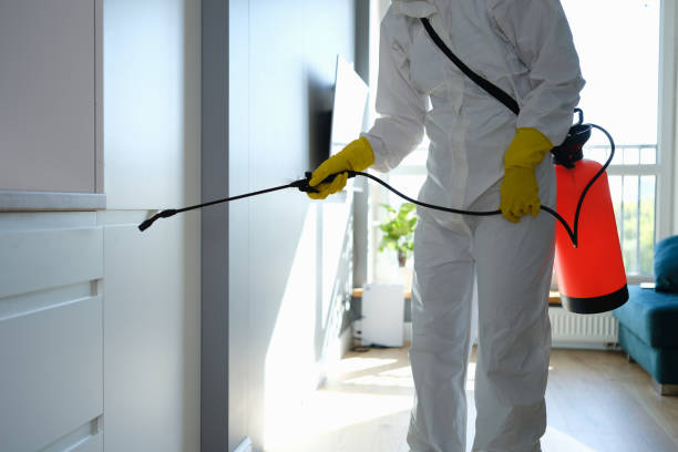 Best Forensic Mold Investigation  in Wadesboro, NC