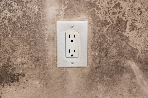 Best Commercial Mold Inspection  in Wadesboro, NC